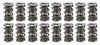 1.645 Triple Valve Springs (16)