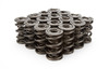 1.645 Triple Valve Springs (16)