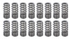1.270 Valve Springs - Ovate Beehive (16)