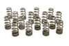 1.250 Valve Springs - Ovate Beehive (16)
