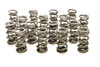 1.500 Dual Valve Springs (16)