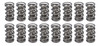 1.500 Dual Valve Springs (16)