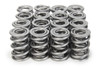 1.570 Dual Valve Springs 1300 Series C/T (16)