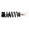 Suspension Strut and Coil Spring