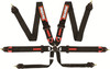 6pt Harness Camlock Blk FIA