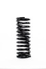Coil Spring Conv Rear 13in x 5in 300lb
