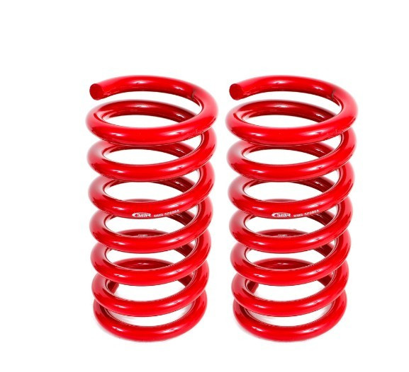 15-20 Mustang Lowering Springs Rear Drag Versin