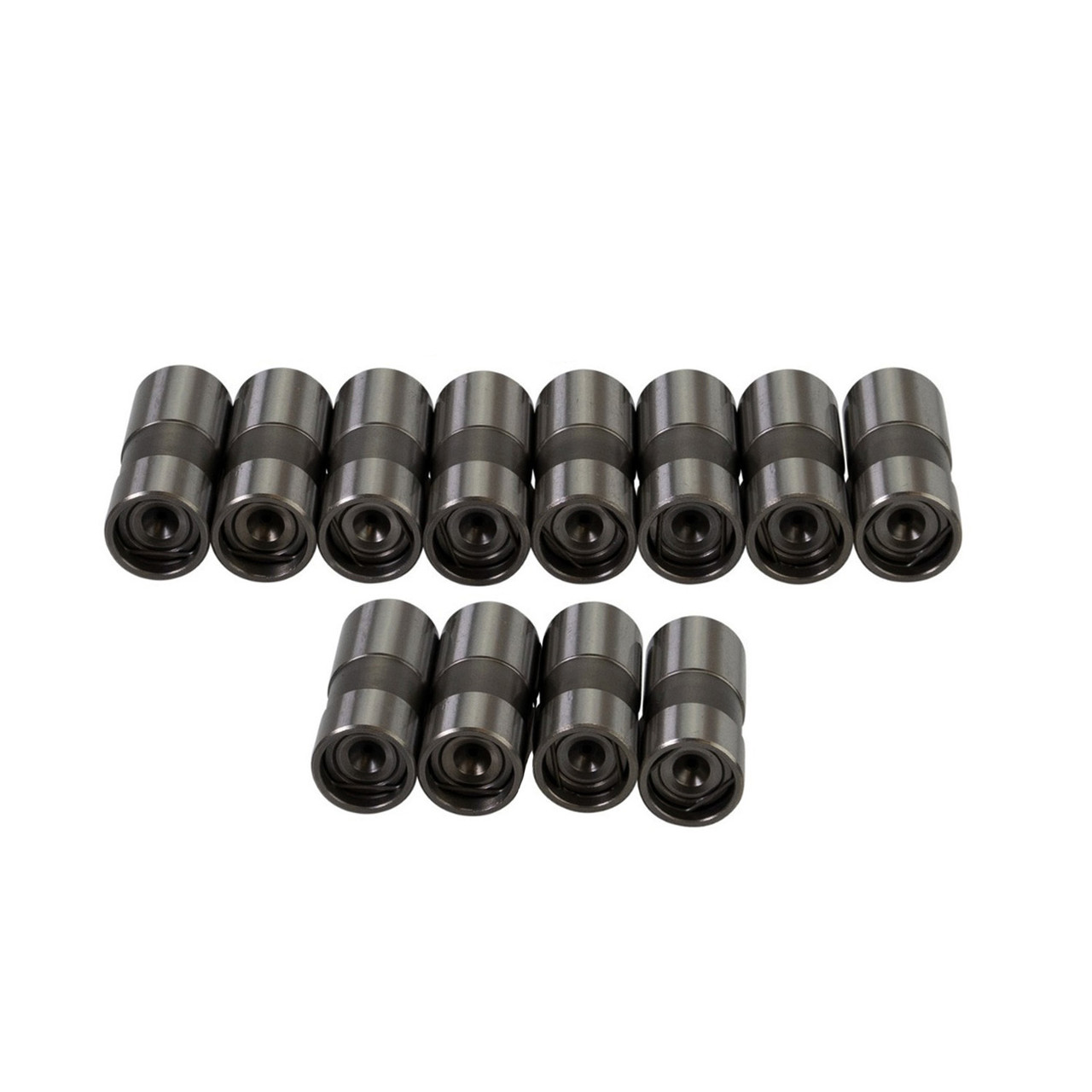 Chevy 6-Cyl DLC Hyd Lifter Set  .842 Dia.