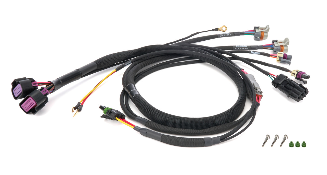 Wiring Harness MSD GM LS CT525Engine