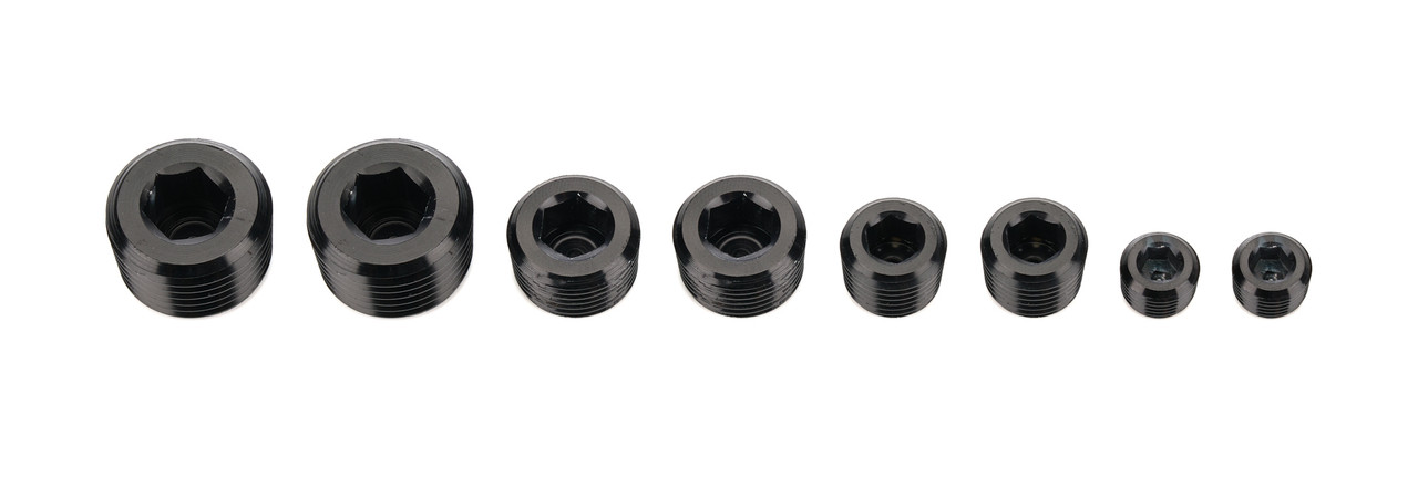 NPT Socket Head Pipe Plug Kit -02 -04 -06 -08