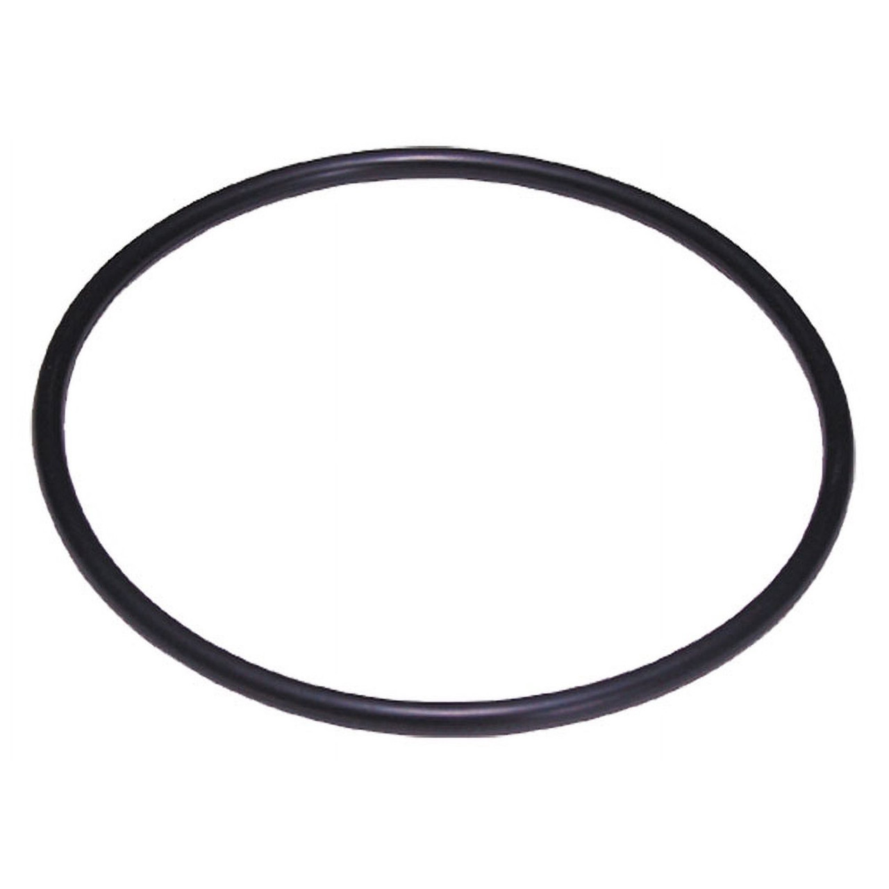 O-Ring 1022
