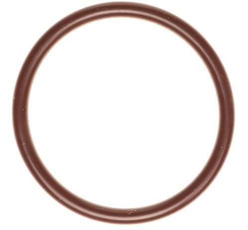 Fuel Pump O-Ring 18-24 Ford 5.0L