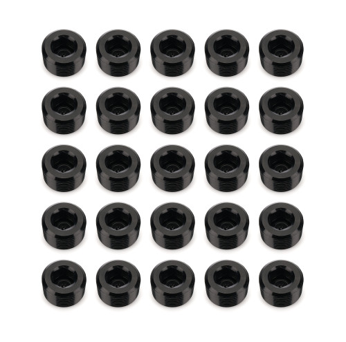 3/8in NPT Socket Head Pipe Plug 25/pkg Black