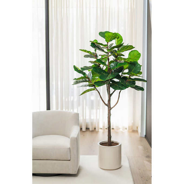 Artificial Fiddle Leaf Fig Tree 2 m (6.5 ft.)