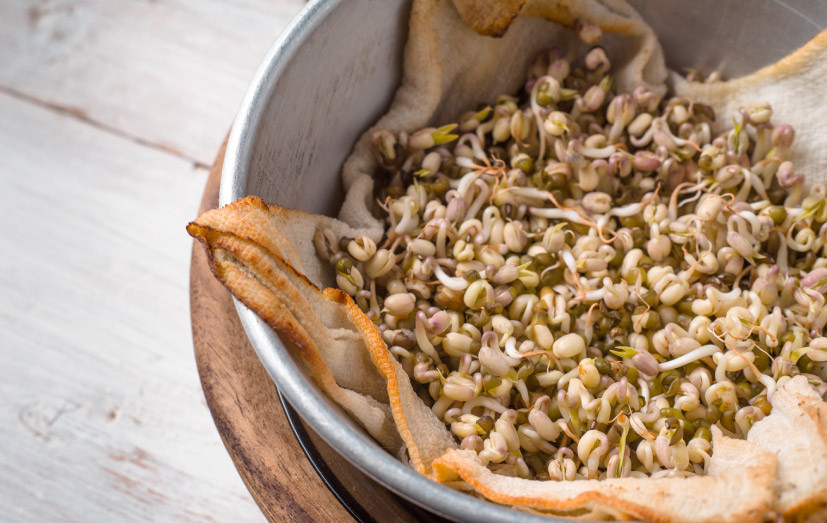 How to Sprout Beans, Lentils and Grains [Quick Guide]