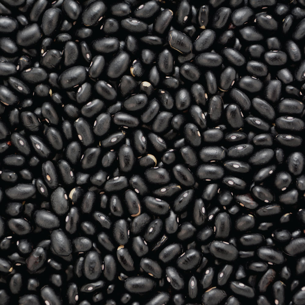 Organic Black Turtle Beans 25kg Bulk