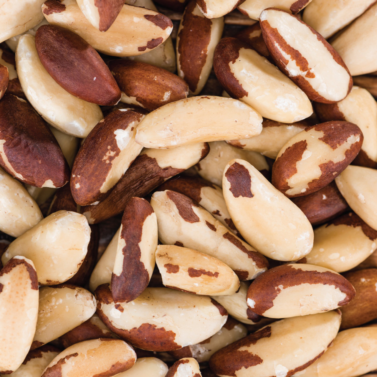 picture of brazil nuts