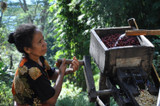 Coffee Growing Regions for our Neighbours Blend  Organic Coffee 