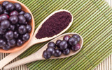What is Acai? Your Guide to the Superfood