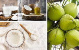 Coconuts 101: Top Coconut-Based Products