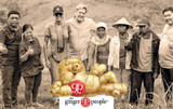 The Ginger People [Supplier Spotlight]