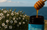 Introducing King Island Pure [Supplier Spotlight]