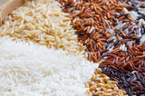 Rice Guide 101: Choosing the Right Variety