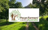 Pecan Farmers’ Co-operative of Australia [Supplier Spotlight]