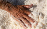 Guérande Sea Salt – France’s Artisanal Treasure [Supplier Spotlight]