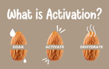 Activated Nuts 101: A Beginner's Guide to Making and Enjoying These Nutritious Treats