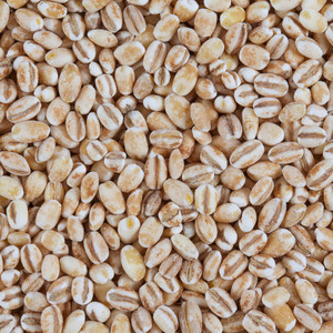  Organic Pearled Barley 5KG