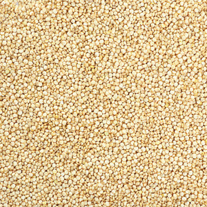 Honest to Goodness Organic White Quinoa Bulk Shop Online