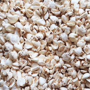  Organic Puffed Buckwheat 2KG