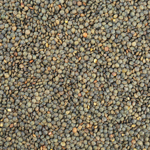 Organic French Style Green Lentils 25KG