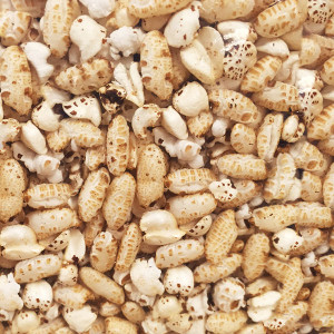  Organic Multi Puffs 2KG