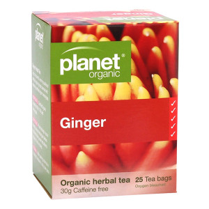 Organic Ginger Tea Bags x 25