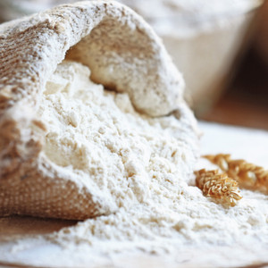 Organic Unbleached White Bakers Flour 12.5KG