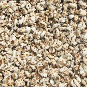  Organic Spelt Puffs 4KG