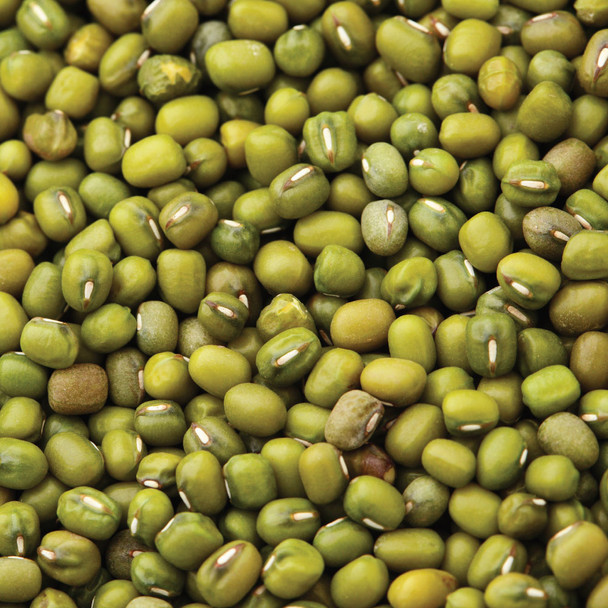 Organic Mung Beans 20KG 1