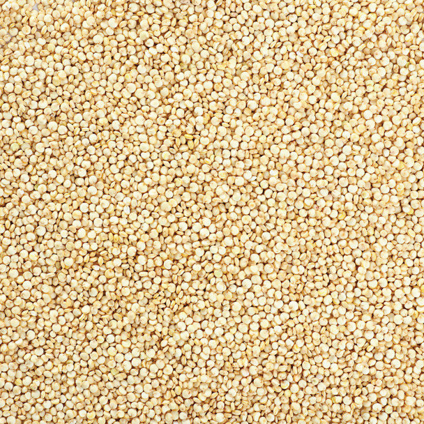 Organic White Quinoa 5KG