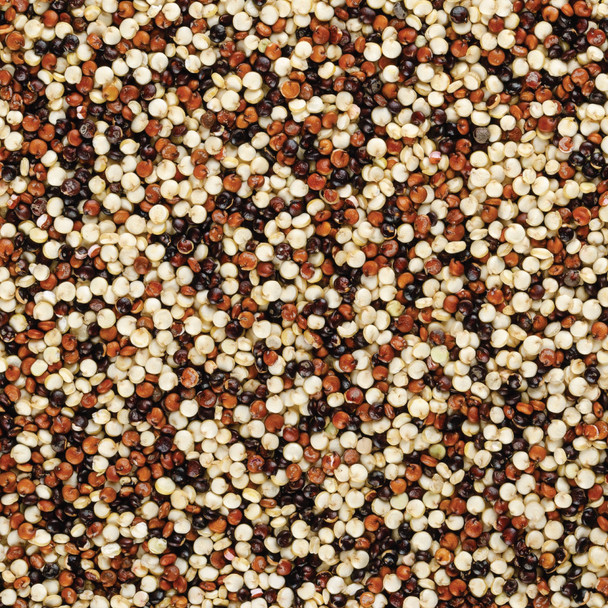 Organic Tricolour Quinoa 5KG