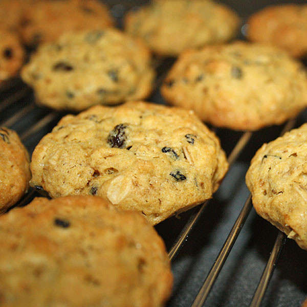 Organic Oatmeal Biscuits
