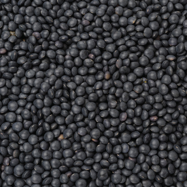 Organic Black Beluga Lentils 5KG | Honest to Goodness