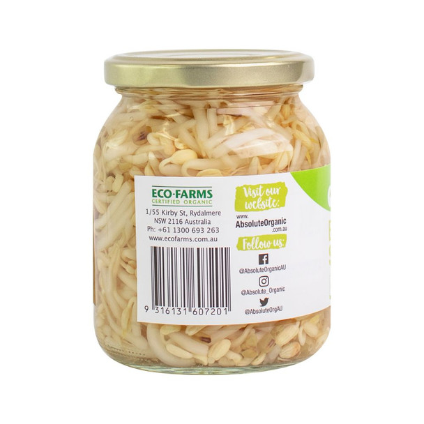 Organic Bean Sprouts 330g Side | Honest to Goodness