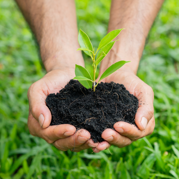 Earth Day 2021