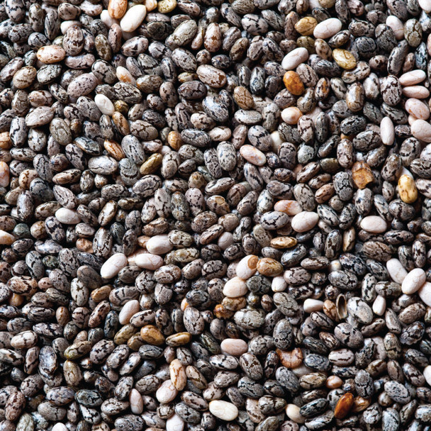 Organic Black Chia Seeds Bulk | Honest to Goodness