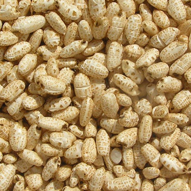 Good Morning Cereals Puffed Brown Rice Bulk | Honest to Goodness