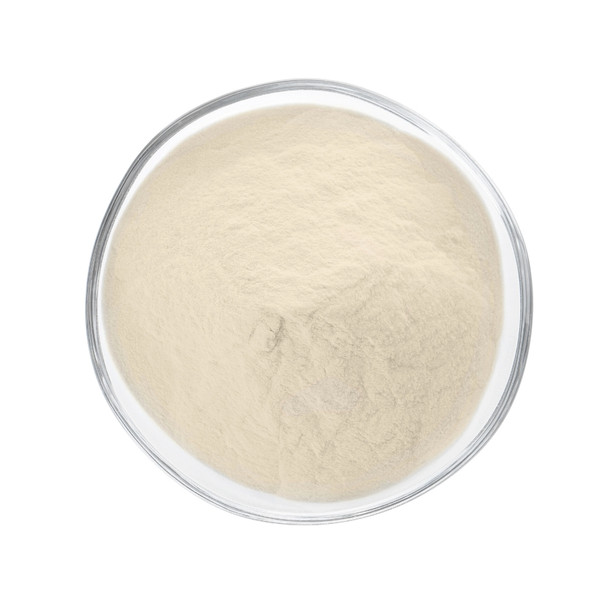 Agar Agar Powder 10KG | Honest to Goodness