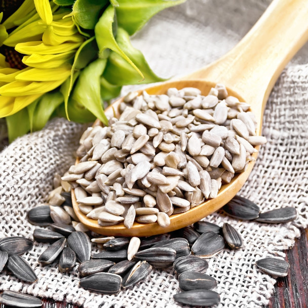 The Seed Files: Sunflower Seeds