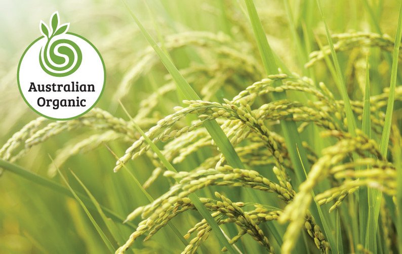 Rise of Organics in Australia | 2018 Market Report